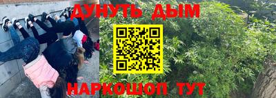 MESCALINE Гатчина