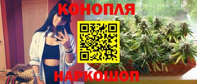 твердый Гай