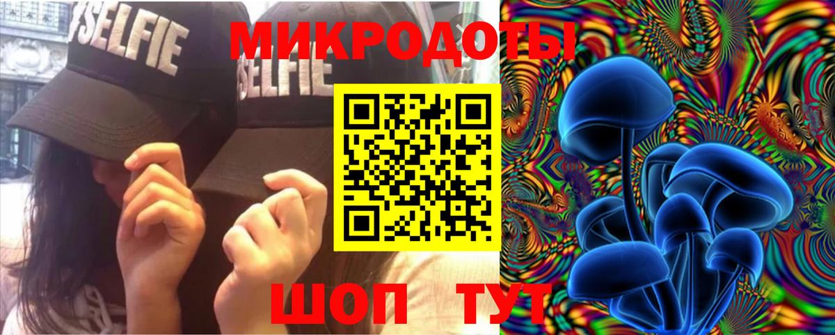 Ирбит  Псилоцибиновые грибы прущие грибы  что такое   Вход с VPN 
